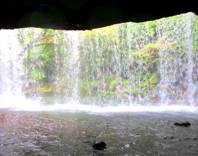 やまなみと滝に癒されて～熊本・阿蘇・黒川・高千穂の旅