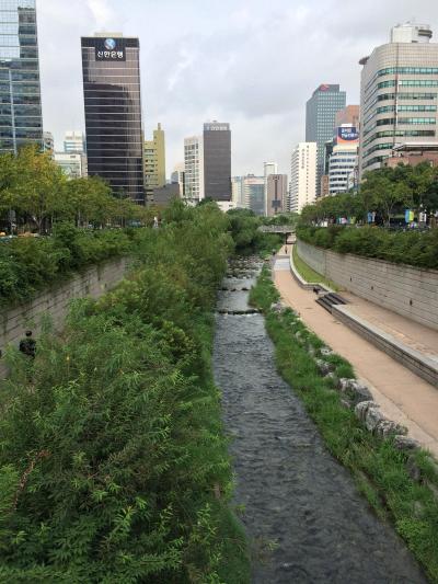 風水都市ソウルを満喫！