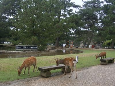 2015夏の青春18　③　関西　　D　:　奈良