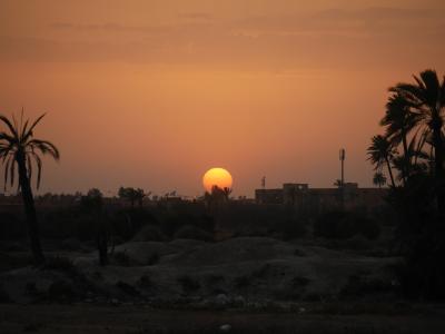 モロッコに魅せられて⑬【マラケシュ(2日目:後半)編】