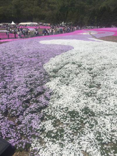 富士宮rafting&芝桜＊1泊2日