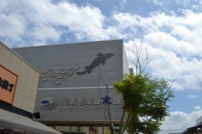 沼津港深海水族館 