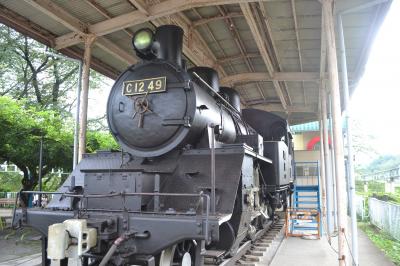 【青春18きっぷの旅2015】首都圏から日帰りで両毛線の旅。桐生で動物園に行き、帰りは普通車グリーン車で。