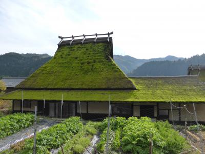 2014 京都の秋