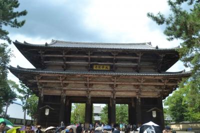 東大寺,氷室神社,春日大社,奈良公園