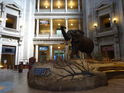 国立自然史博物館　（哺乳類）