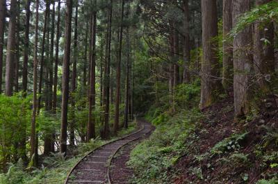 京都美山かやぶきの里・森の中の廃線(芦生研究林)