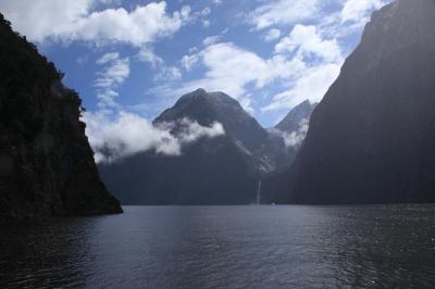 キウィと羊の島、ニュージーランド