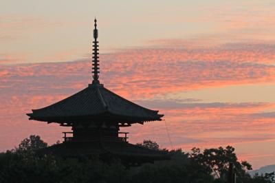 奈良　法起寺の朝焼け　撮影行