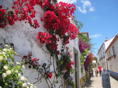 初夏のポルトガル (4-2) オビドス