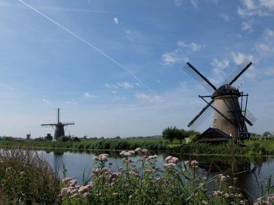 オランダ・ベルギー 夏旅はランドオンリーでツアー参加3 マウリッツハイス/クレラー・ミュラー/キンデルダイク編