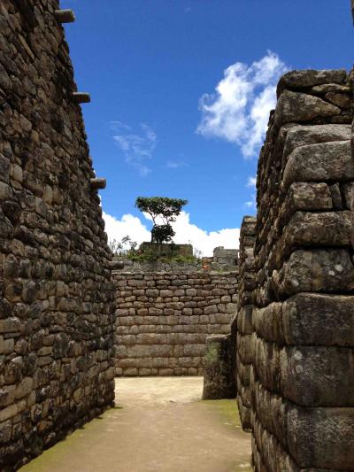 南米3ヶ国10日間の旅《クスコ・マチュピチュ編》