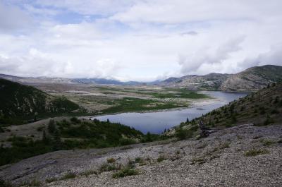 MontanaとWashingtonの公園巡り　7月13日　旅行7日目　Mt. Rainier NP-Iron Creek Falls-Mt. St. Helens