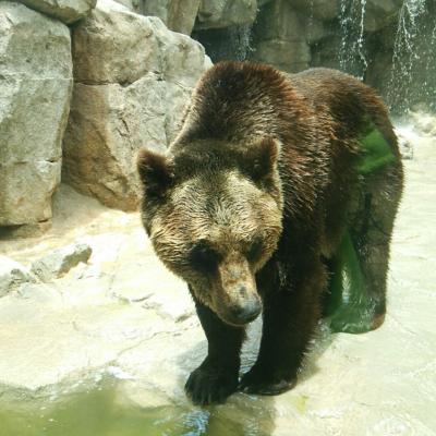 夫婦旅行】神戸王子動物園☆