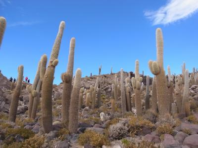 死ぬまでに一度は行きたい場所へ