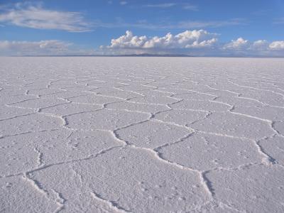 ウユニ塩湖 でコレがしたかった　～インカワシ