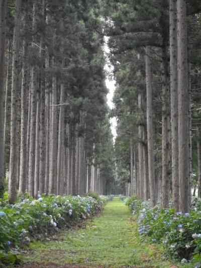 花巻から何処へ行こう？　