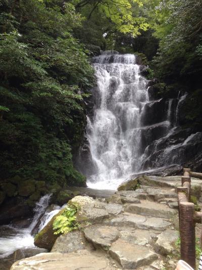 糸島ドライブ