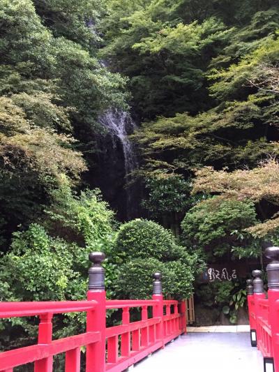 滝の見える温泉 湯河原 青巒荘(せいらんそう)