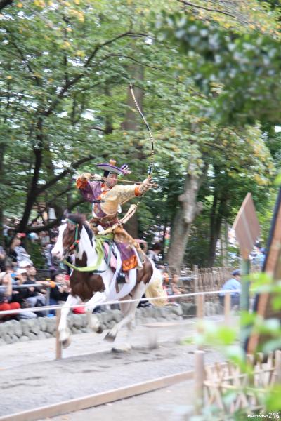 鎌倉：鶴岡八幡宮の流鏑馬と秋の花