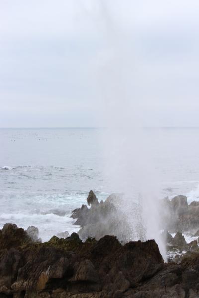 盛岡の手作り村と気仙沼の岩井崎へ(後編)
