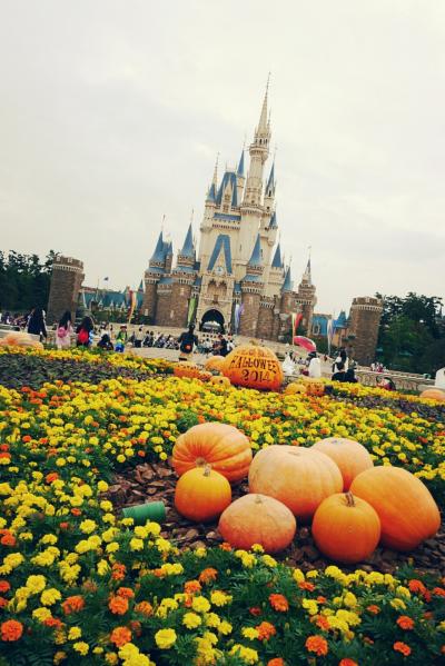 どうでしょう小祭からの東京ディズニーランド☆その２