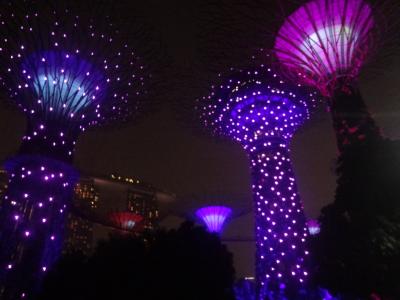 SCOOTで行くシンガポール