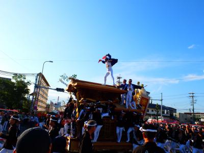 ひきまわし　だんじり初日　岸和田