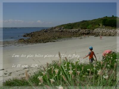 ありのままの自然のîle de Batz 両親とフランス　その3 