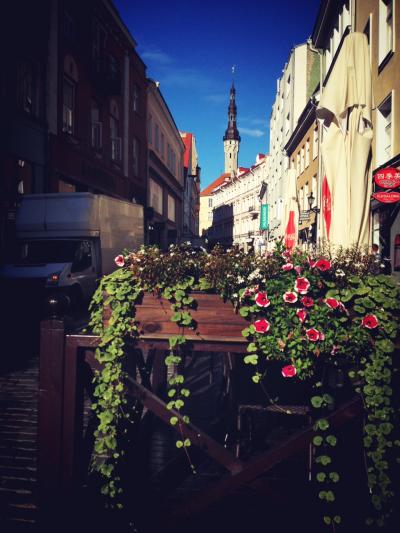 バルト3国をドライブで周遊とサンクトぺテルブルグ＆ストックホルム観光 NO.5　エストニア・タリン旧市街観光