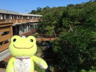 自然満喫西表島1日目