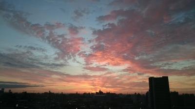 9月の北海道＊美瑛～稚内 １日目