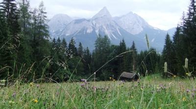 Tiroler Zugspitz Arena で滞在型のんびりハイキングの旅 ⑬ Panoramaweg まさにパノラマ ハイキング