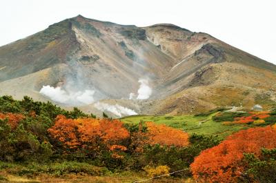 秋を彩る雲上の楽園「大雪山国立公園」を散策！！　山岳リゾート「ラビスタ大雪山」に連泊