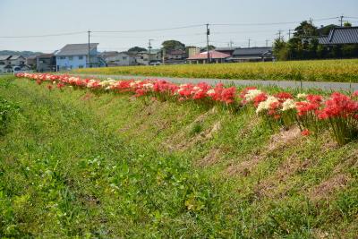 故郷がこんなに好きだったなんて 前編！2015年