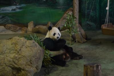 [子連れ旅] 家族で初めての海外は台北へ（後半編）