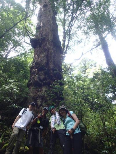 屋久島家族旅行　３日目　天文の森へＧｏ！