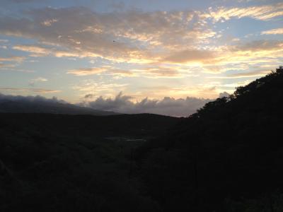 社員旅行 inハワイ②