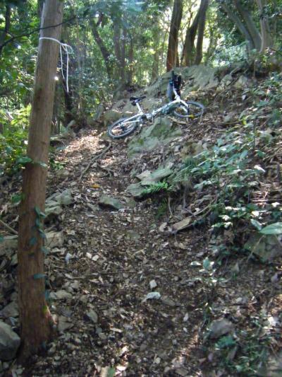 高尾山系サイクリング・ハイキング