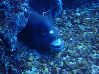 エクシブ八瀬に宿泊@研究室旅行2015