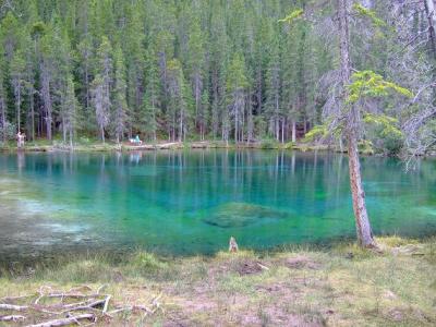 カナディアンロッキーの旅（2009）　その１