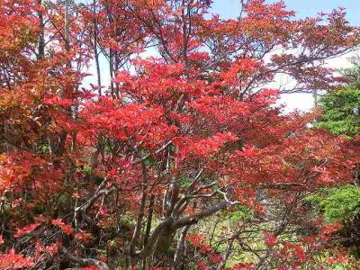 恵那山は秋の真っ盛りでした