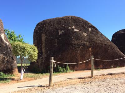 7泊11日ブラジル旅行⑥　番外編