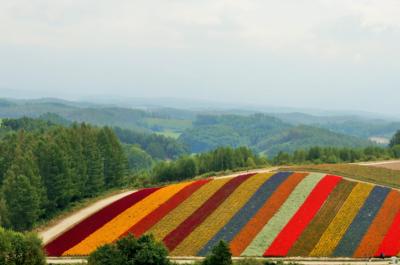 2015 summer holiday 2