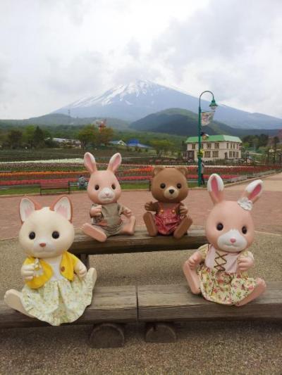 富士芝桜・箱根つつじ　