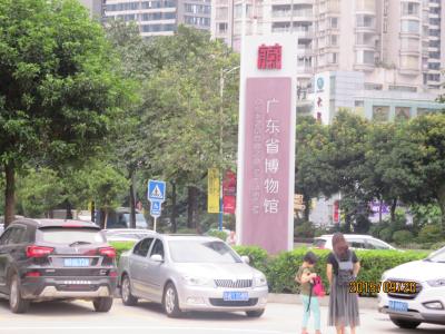 おしどり単独　広東省広州市の広東省博物館　