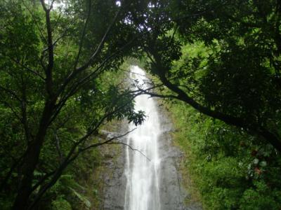 夫婦2人ハワイ・ワイキキの旅2015　～5日目～