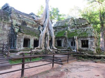 カンボジア 天空の寺院を訪ねて 2日目 ～ 早朝のタプロム ～