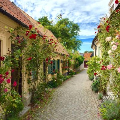 真夏のスウェーデン8日間・ゴットランド島へ！～薔薇と廃墟の街ヴィスビィ～