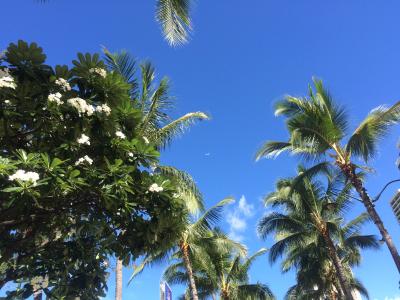 夫婦2人ハワイ・ワイキキの旅2015　～7日目+最終日～